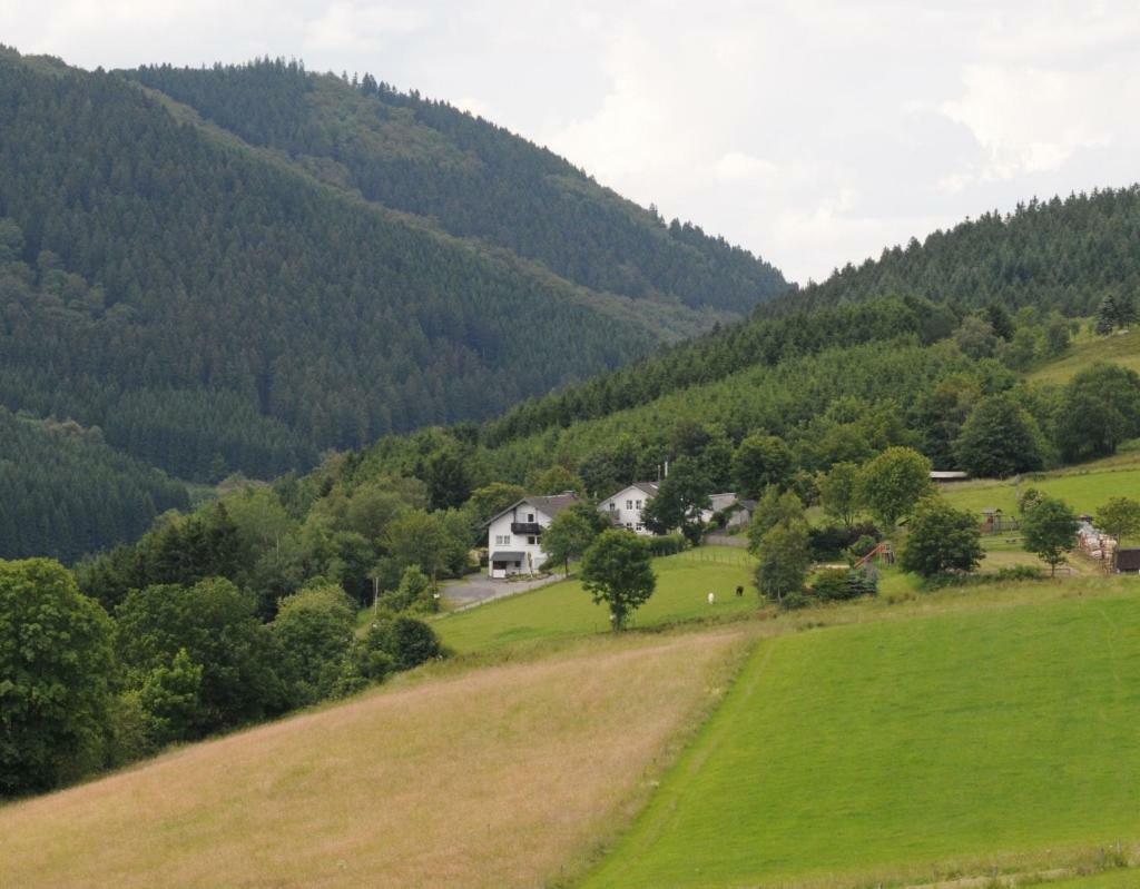 Duempelhof Ferienwohnungen Olsberg Exteriér fotografie