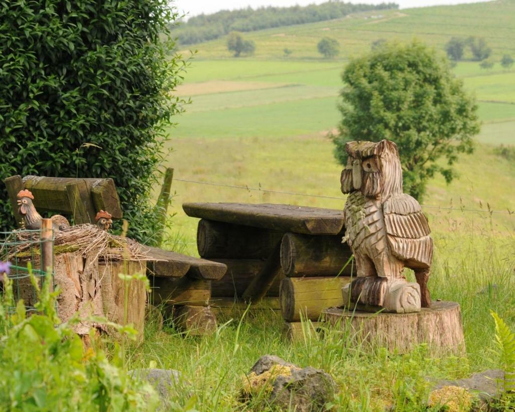 Duempelhof Ferienwohnungen Olsberg Exteriér fotografie