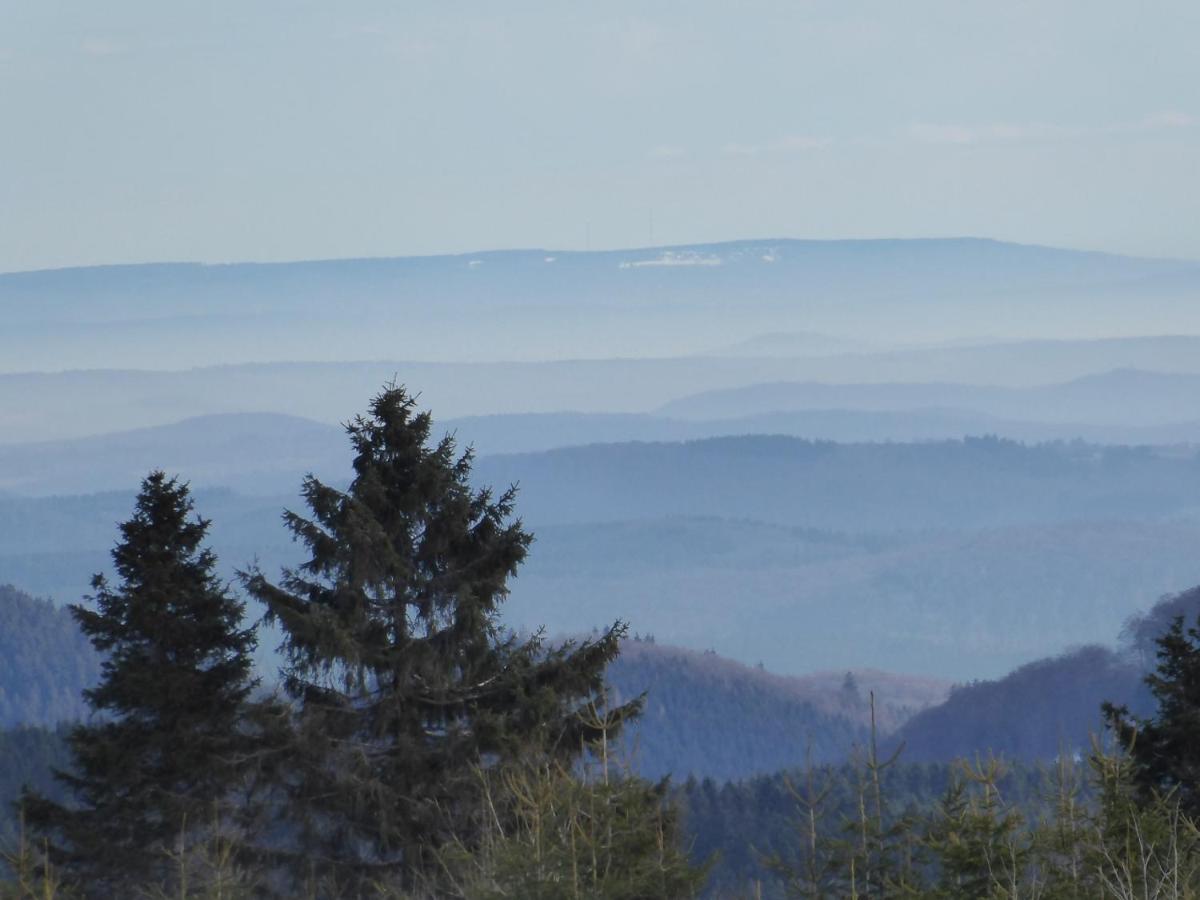 Duempelhof Ferienwohnungen Olsberg Exteriér fotografie